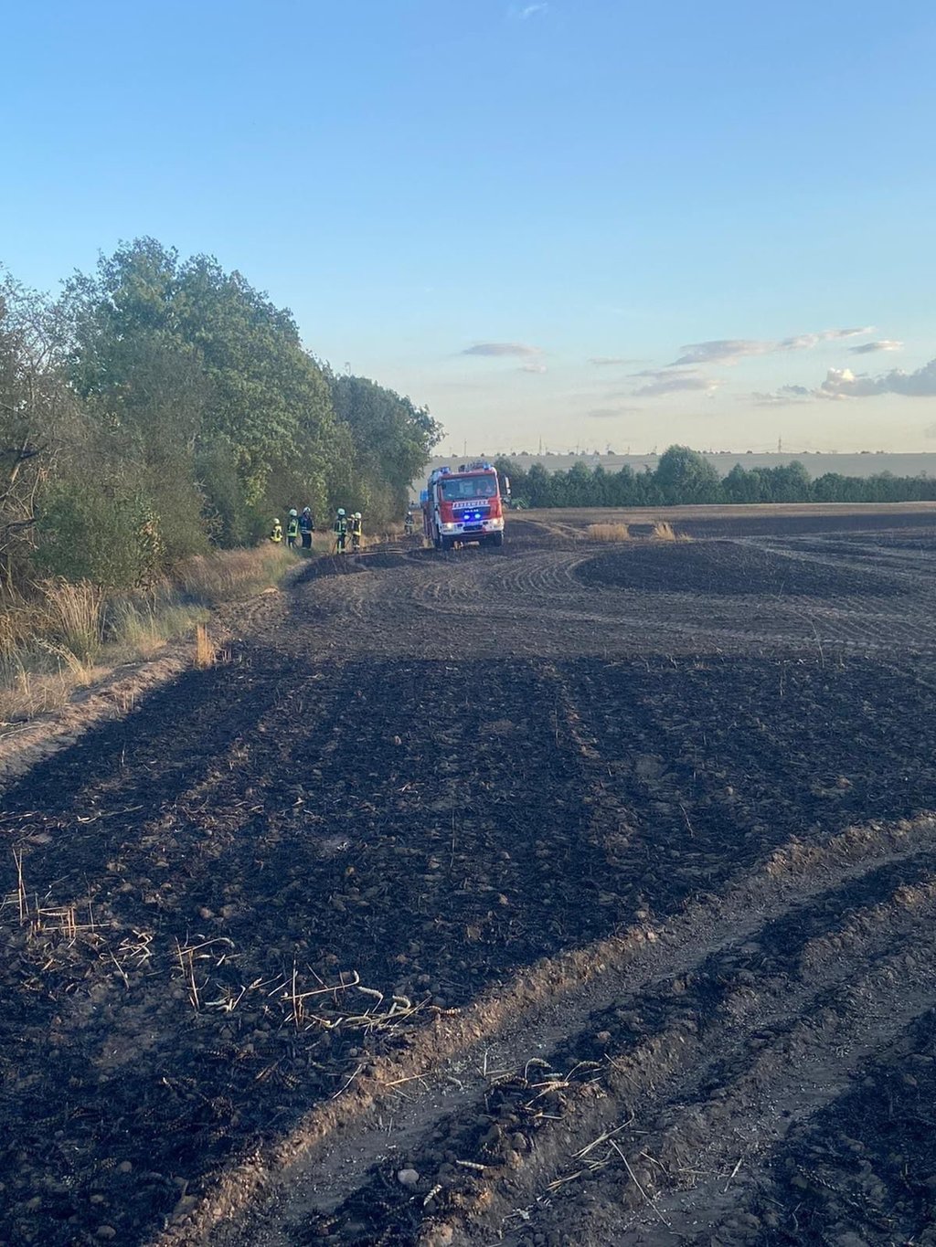 Auf 70 Hektar Stoppelacker und Kornfeld brannte es Donnerstagabend, 14. Juli 2022, im Bördeland nahe Biere und Welsleben.