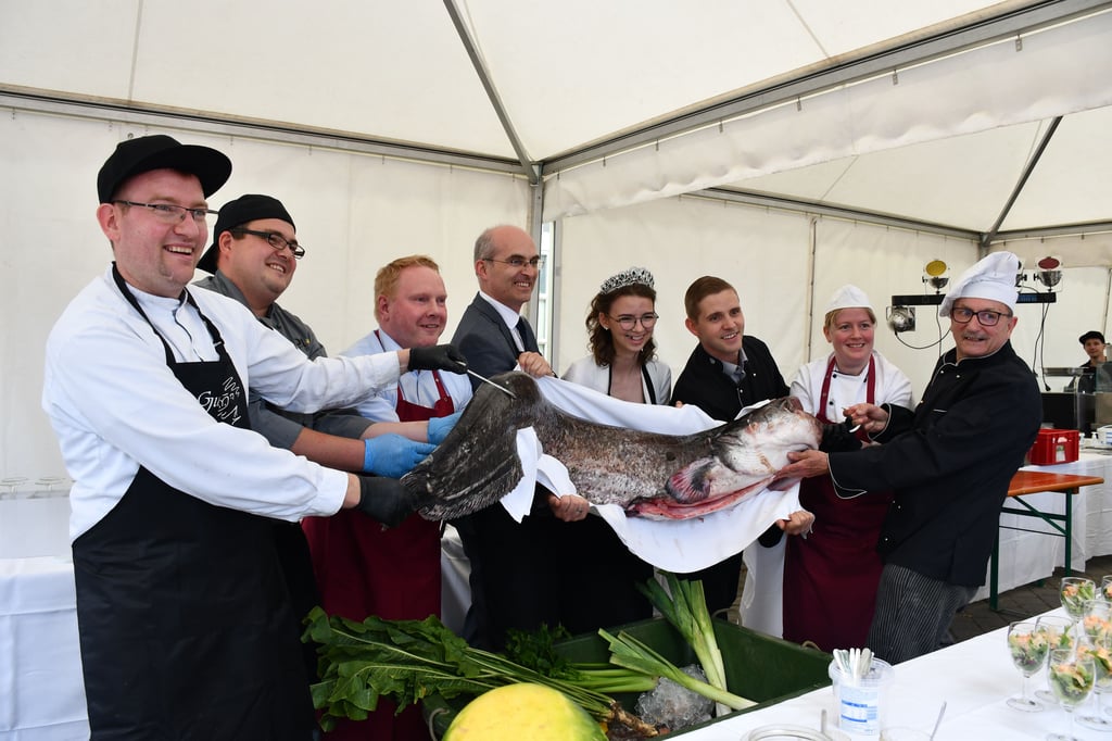Das Fest begann mit einer Kochshow, Höhepunkt war ein 40 Kilogramm schwerer Wels.