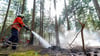 Ein Feuerwehrmann löscht bei einem Waldbrand.