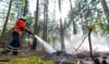 Ein Feuerwehrmann löscht bei einem Waldbrand.