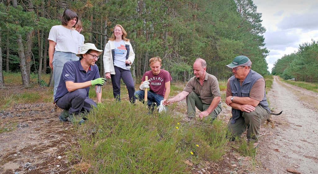 Axel Mitzka (2. v. r.) erklärt den Praktikanten das besondere Heidekraut. Revierförster Uwe Robitzsch freut sich über die Unterstützung.
