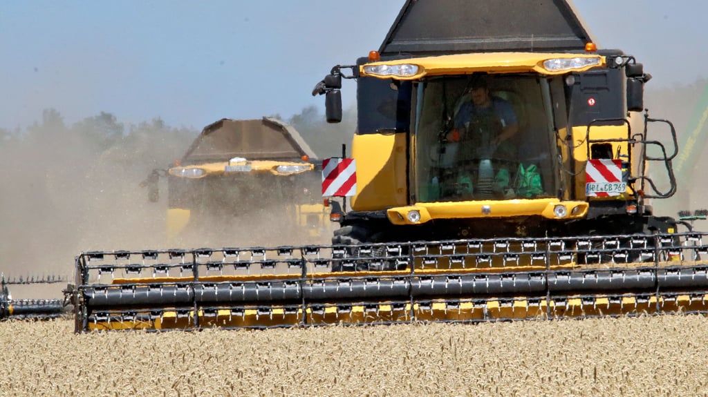 Zerbst Aktuelle Nachrichten. News Volksstimme