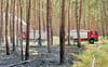 Drei von insgesamt 140 Einsätzen in diesem Jahr gingen für die Feuerwehr Haldensleben auf Waldbrände zurück. Zudem waren Hecken und Böschungen von Feuern betroffen. Was können Anwohner tun, die nahe dem Waldrand leben?