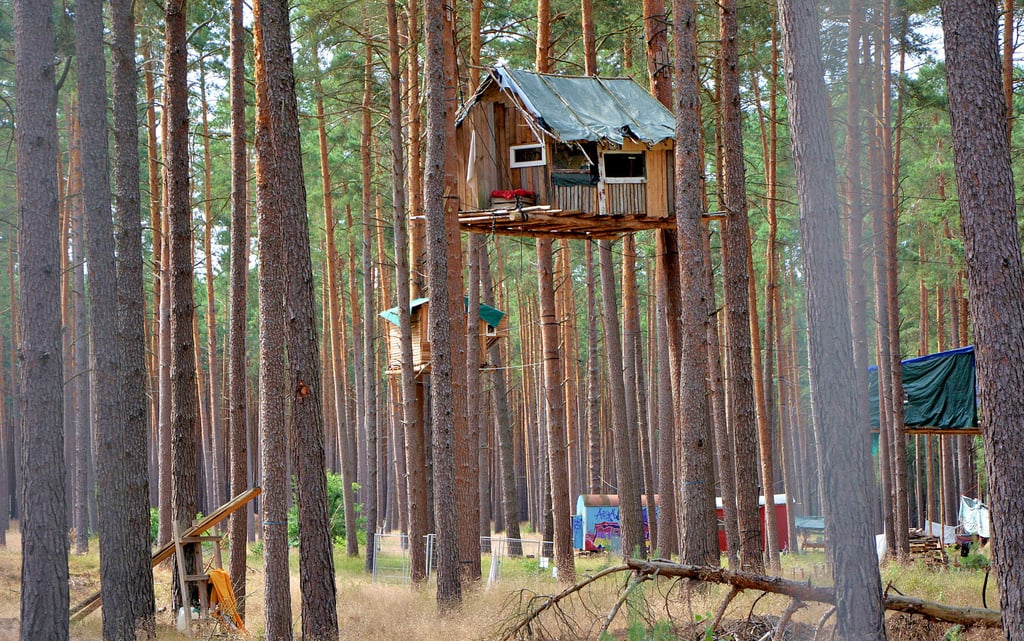 Blick durch den Bauzaun: Es war ruhig gestern im Camp der Waldbesetzer, dann regte sich doch noch eine junge Frau.