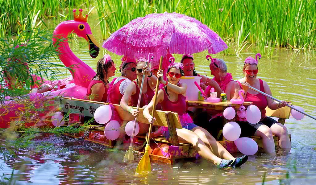 Die Flamingos ließen es langsam angehen und kamen sehr elegant daher. Das entzückte sogar den „Janeist“ der Jury. Er zückte hier die Zehn.