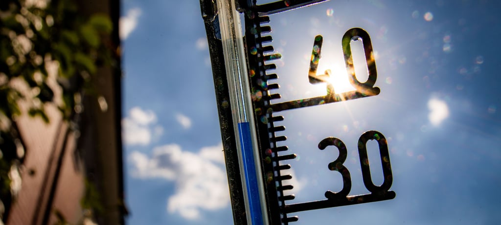 Auf Deutschland kommt eine Hitzewelle zu. Selbst im Norden Sachsen-Anhalt sind Temperaturen an die 40 Grad Celsius angesagt - im Schatten.