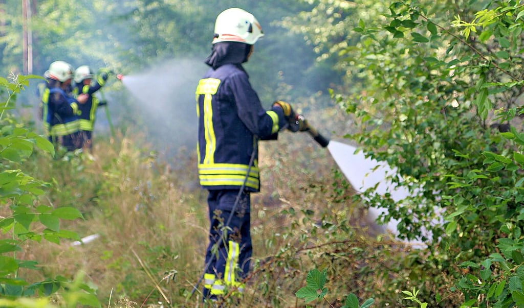 Gleich vier Feuerwehren bekämpfen den Flächenbrand im Wald zwischen Bad Kösen und Kukulau.