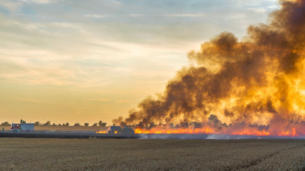 Seit Wochenbeginn stehen Felder in Flammen: Hier verbrannten bei Zörbig (Anhalt-Bitterfeld) 15 Hektar Weizen. In Osterwieck (Harz) konnten Dienstag ein Bauer und die Feuerwehr ein größeres Feld mit Brandschneisen retten. Ein Teil (sechs Herktar) verbrannte dennoch.