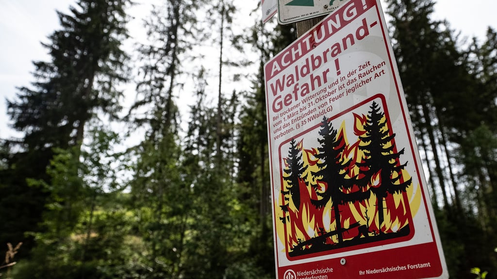 Steigende Temperaturen und Trockenheit sind potenzielle Ursachen für Waldbrände. Foto: Swen Pförtner/Symbol/