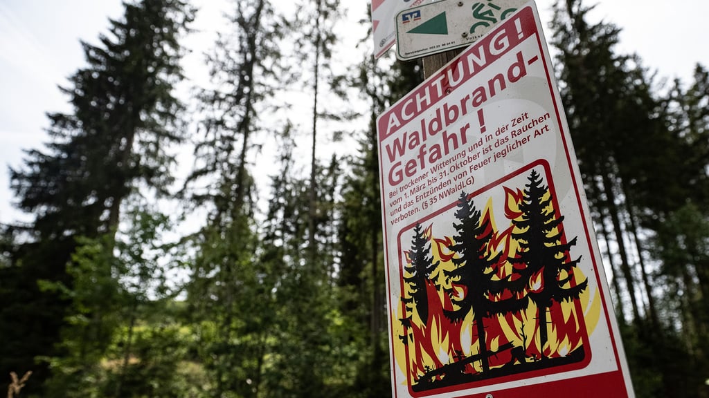 Steigende Temperaturen und Trockenheit sind potenzielle Ursachen für Waldbrände. Foto: Swen Pförtner/Symbol/