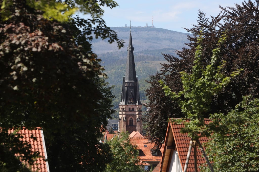 Blick vom Lustgarten auf den Liebfrauenkirchturm und den Brocken.