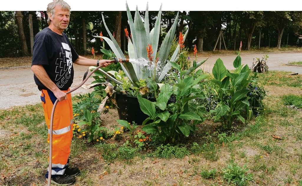 Axel Hübner von der Klötzer Stadtwirtschaft ist dreimal in der Woche unterwegs und versorgt Bäume und Pflanzen mit Wasser.