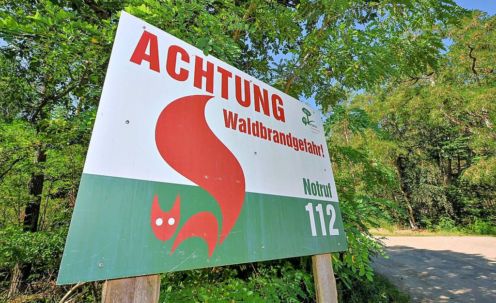 Im Landkreis Stendal gilt die Waldbrandgefahrenstufe 5. Gerade die Kiefernwälder in der Altmark sind leicht entzündlich.