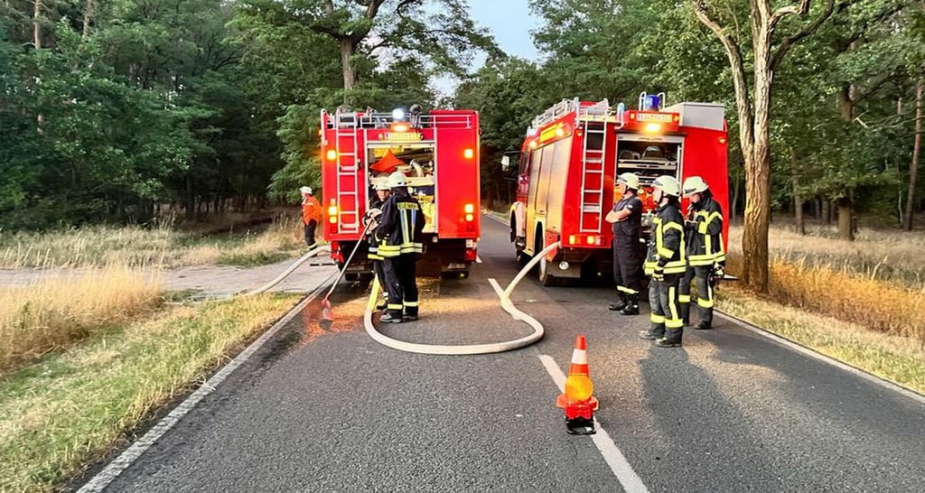 Die Feuerwehren rückten am Montagabend nicht nur zum Waldbrand bei Karritz aus.