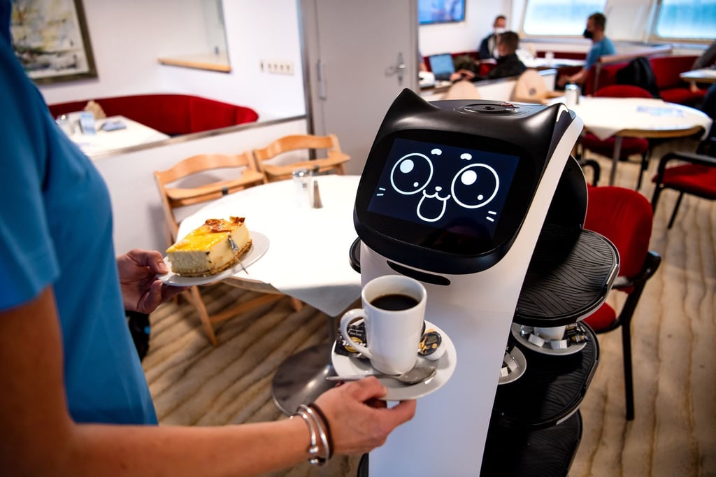 Roboter Bella Bot sieht ein bisschen aus wie eine Katze.