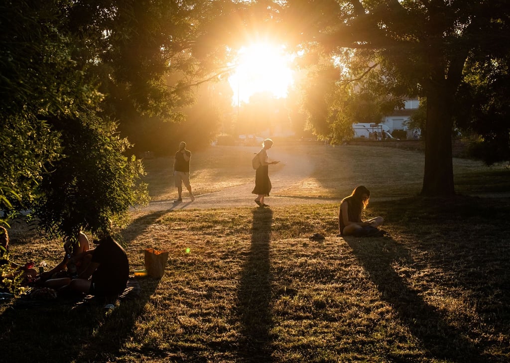 Die Abendsonne bescheint einen der trockenen, staubigen Wege im Frankfurter Günthersburgpark.