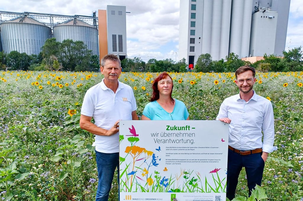 Jürgen Ziegler (von links), Sabine Fischer und Nico Thurian auf der Blühwiese vor der Saalemühle Alsleben.