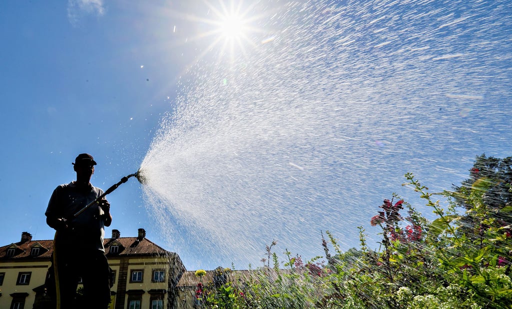 Ein Mann bewässert eine Grünanlage: Der Burgenlandkreis ruft wegen anhaltender Dürre dazu auf, Wasser zu sparen.
