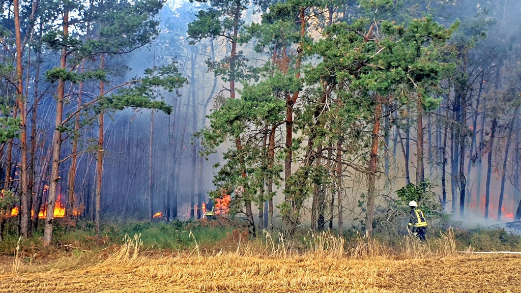 In den kommenden Tagen erhöht sich die Gefahr von Waldbränden drastisch, wie hier 2019 bei Steutz.