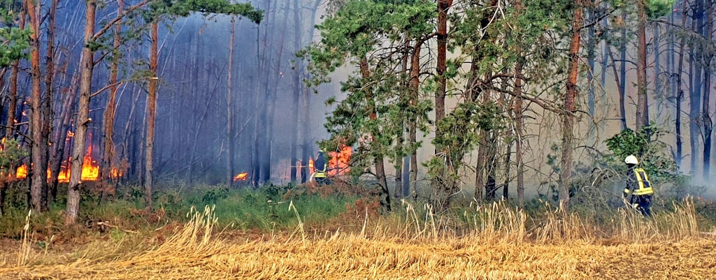 In den kommenden Tagen erhöht sich die Gefahr von Waldbränden drastisch, wie hier 2019 bei Steutz.