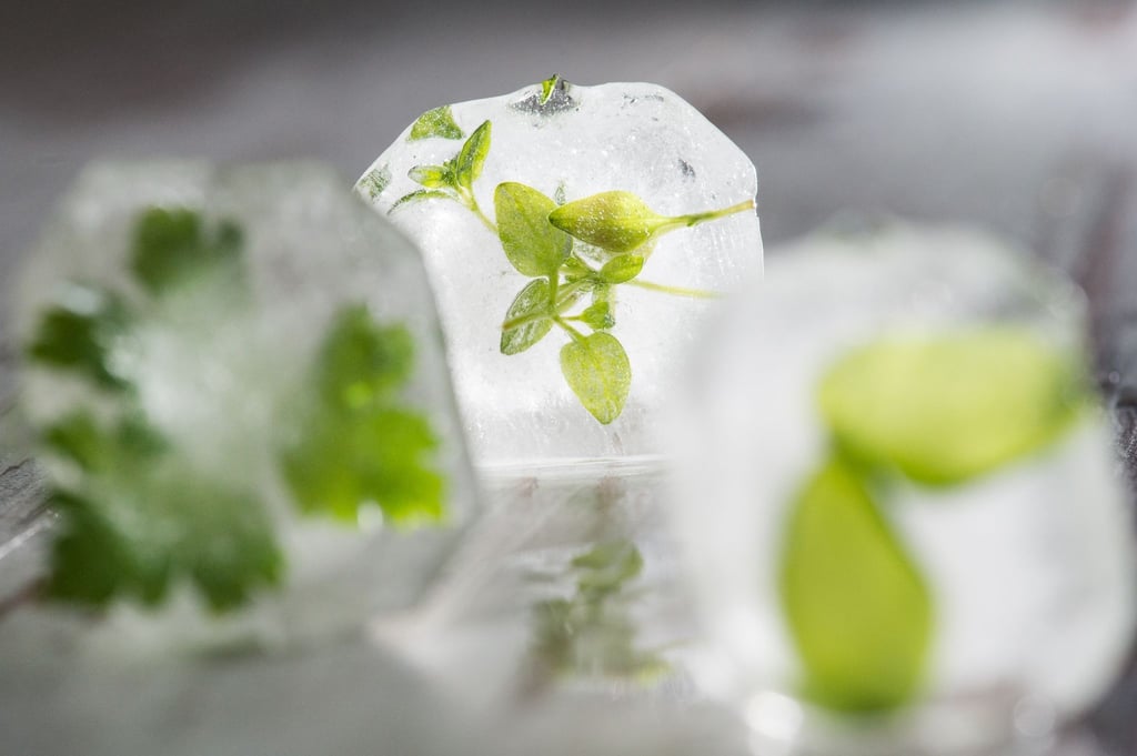 Auch in Eiswürfel gefrorener Thymian peppt Wasser aromatisch auf.