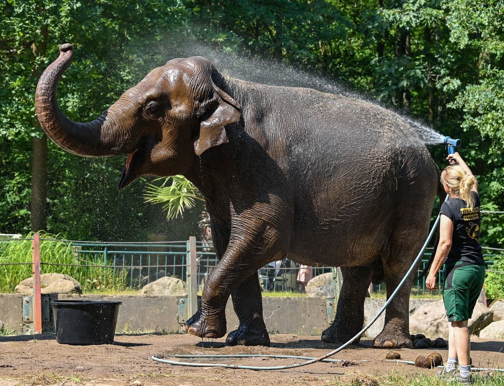 Yvonne Weigelt, Tierpflegerin im Tierpark Cottbus.