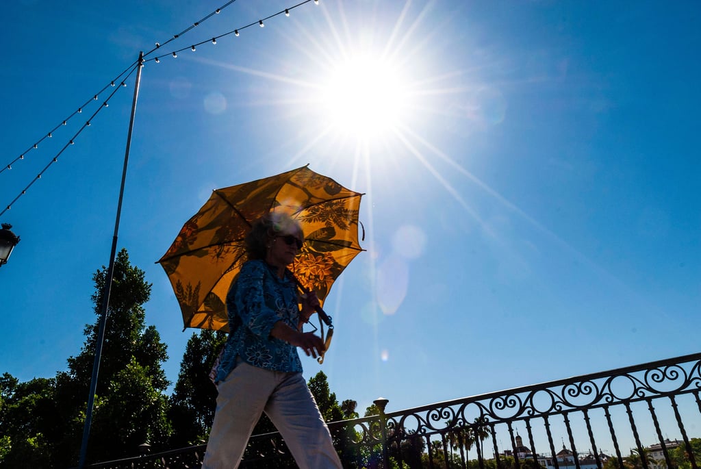 Mit 38,2 Grad Celsius wurde in Magdeburg am 20. Juli 2022 der bisherige Hitzerekord übertroffen.