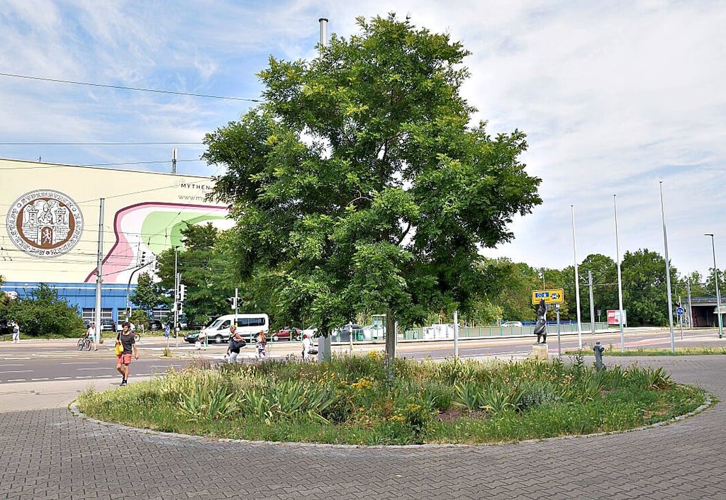 Die Beete vor dem Gebäude des Technischen Polizeiamtes am Südring in Magdeburg sollen im Herbst aufgewertet werden.