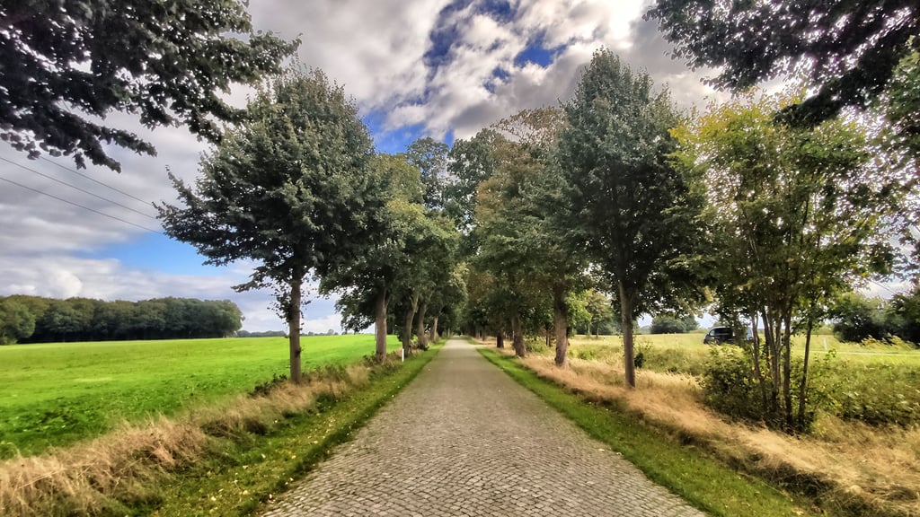 Heute heißt die F96 bei Reinberg "Lindenallee"