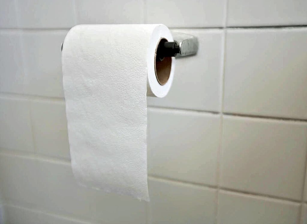 Klopapier brennt schnell und heftig. Damit kann man eine Schule abfackeln. Besser aber nicht.