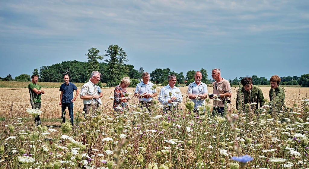 Stippvisite vor Ort: Die Agrargenossenschaft Mildensee hat am Deich bei Sollnitz eine Blühwiese angelegt.