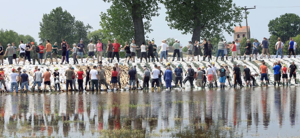 Hunderte Helfer unterstützen im Juni 2013 dabei, den alten Bahndamm in Lostau mit Sandsäcken zu verstärken.