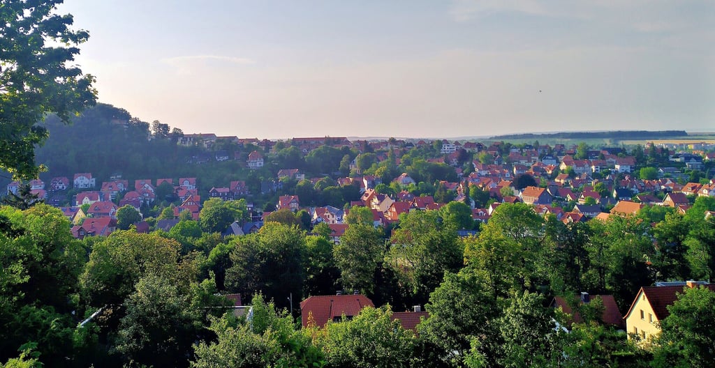 Blick vom Hermann-Löns-Denkmal über das untere Hasserode. Die Grundsteuerreform betrifft allein in Wernigerode rund 12.000 Grundstückseigentümer.