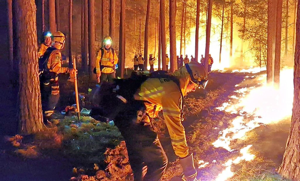 Bei einem Waldbrand im brandenburgischen Beelitz in diesem Jahr legen Feuerwehrleute ein Gegenfeuer an.