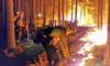 Bei einem Waldbrand im brandenburgischen Beelitz in diesem Jahr legen Feuerwehrleute ein Gegenfeuer an. 