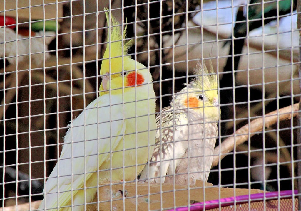 Für das Tiergehege erhält die Stadt regelmäßig von den Bürgern Geld- und Futterspenden. Das bestätigte jetzt Bürgermeister Sven Hause. 