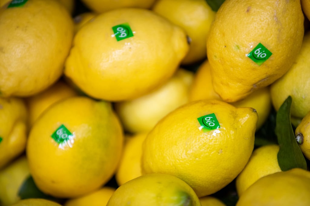 Immer mehr Menschen setzen bei ihrem Lebensmitteleinkauf auf Bio-Produkte.
