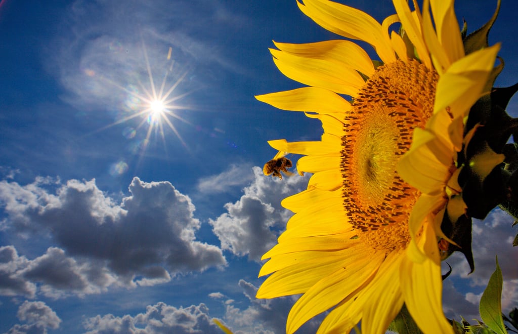 Das Wetter in Mitteldeutschland: Auch in Zeitz bleibt es ein heißer Sommer.