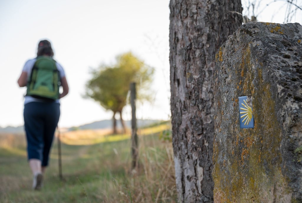 Jakobspilgerwege in Rheinland-Pfalz und im Saarland haben großen Zulauf.