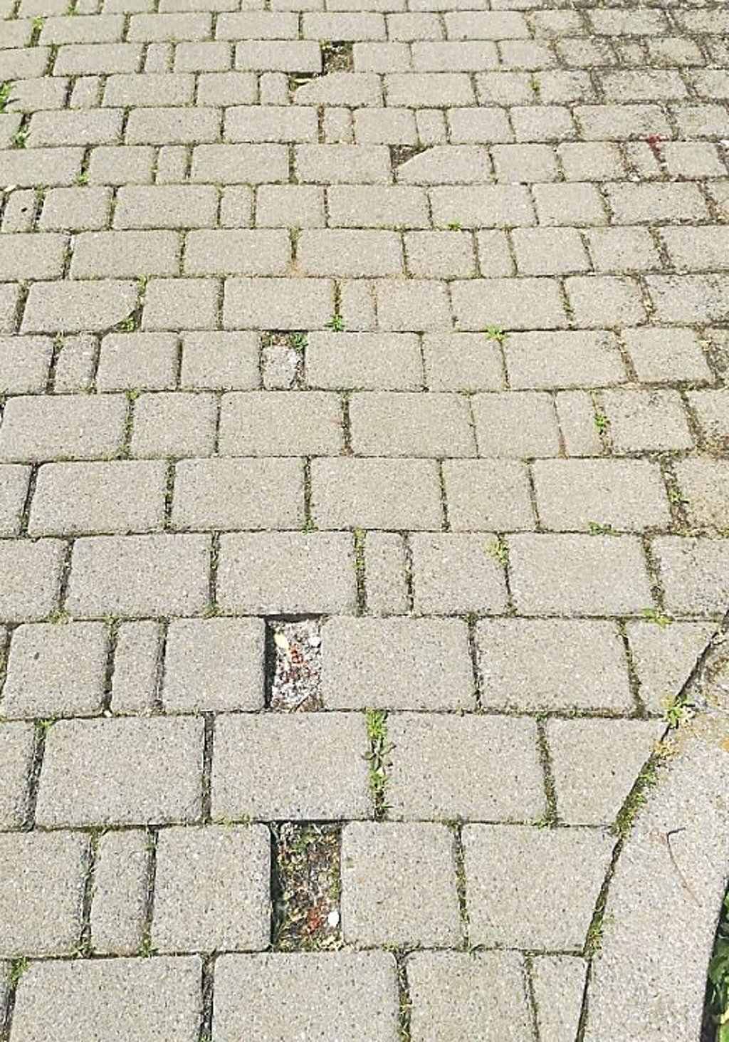 Unser Leser Hans-Jürgen Streuer fotografierte die Löcher im Fußweg An der Bode.