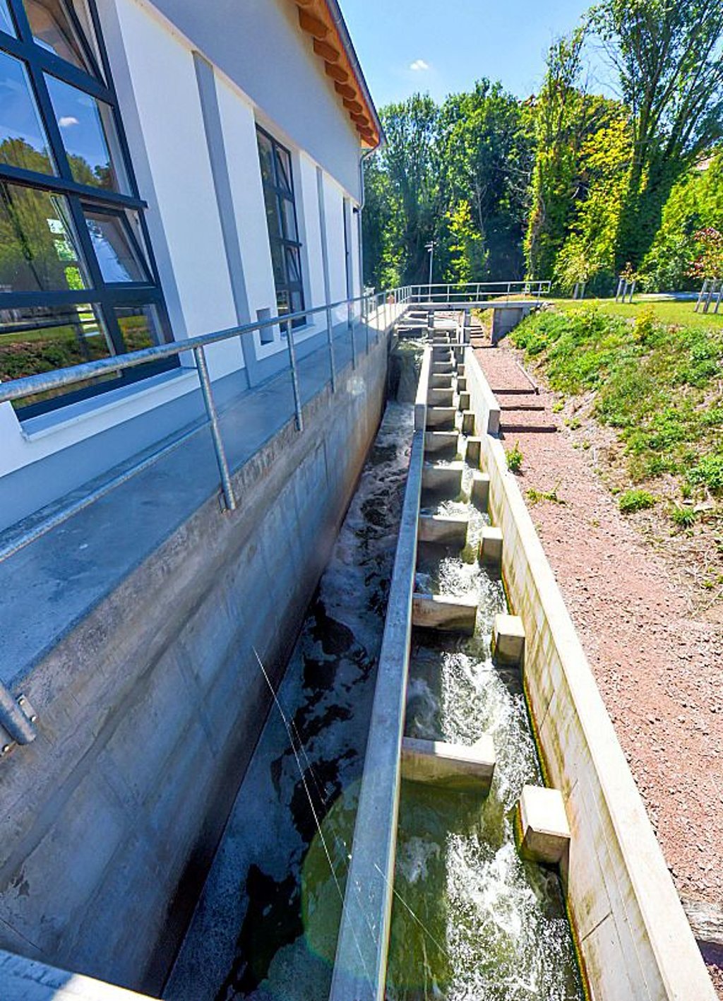 Fischtreppe: Auf- und Abstiegshilfe für die Tiere.