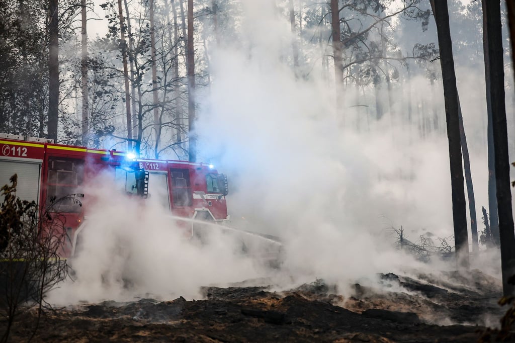 Feuerwehrleute löschen einen Waldbrand.