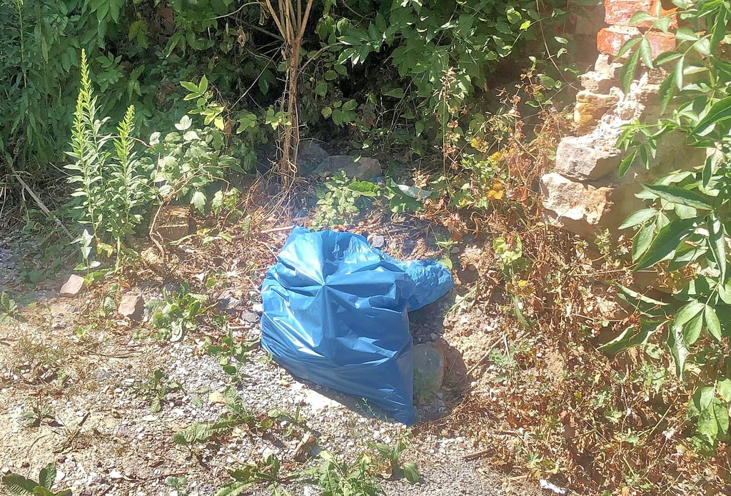 Neun Müllsäcke waren von Geschwister-Scholl-Straße über Wendischen Berg, Stadtmauer, Altmarkt, Bärgasse bis zum Steinsgraben verteilt.