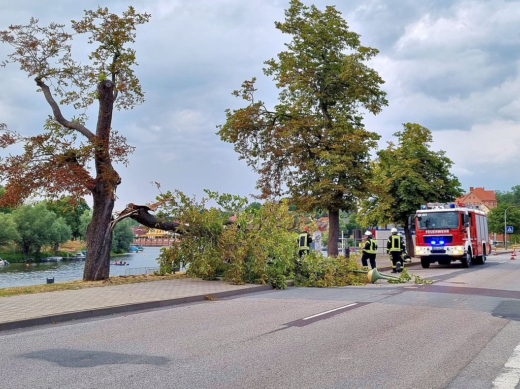 Komlett über den Gehweg und auf eine Straßenhälfte hatten sich der Ast und die von diesem mitgerissene Straßenlaterne gelegt.