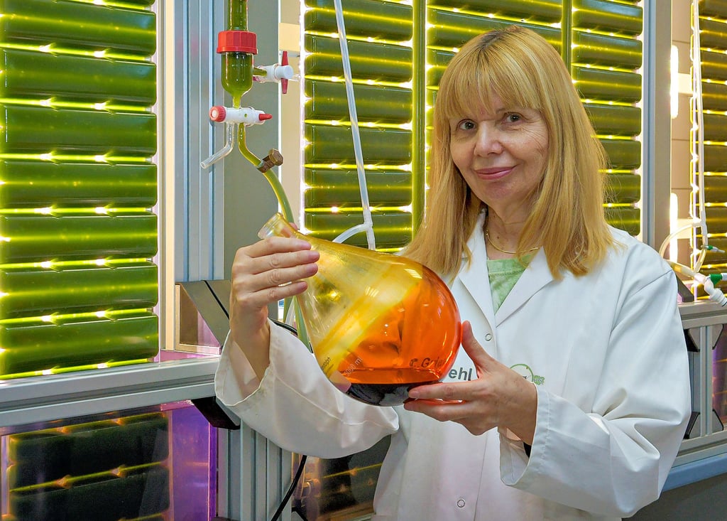 Prof. Dr. Carola Griehl präsentiert die Algentankstelle an der Hochschule Anhalt in Köthen.