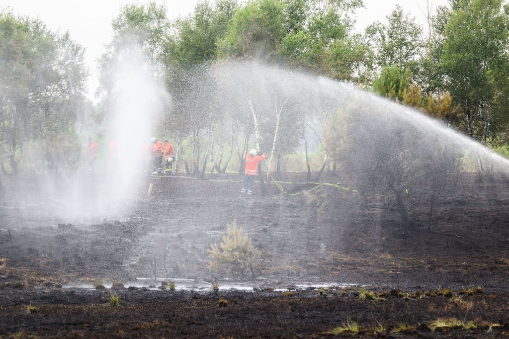 Feuerwehrkräfte löschen einen Brand im Großen Moor im Landkreis Gifhorn.