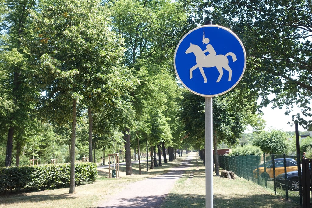 Ein neuer Weg nur für Reiter entlang der Straße „An den Rennwiesen“ in Magdeburg.