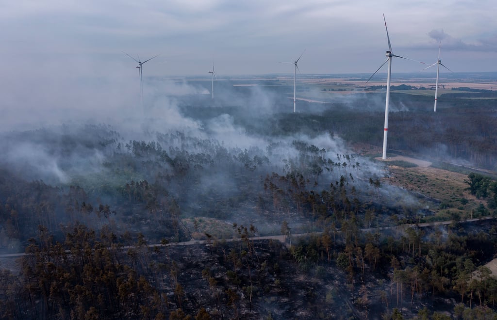 Die Feuerwehr in Brandenburg kämpft weiter gegen einen großen Waldbrand im Landkreis Elbe-Elster.