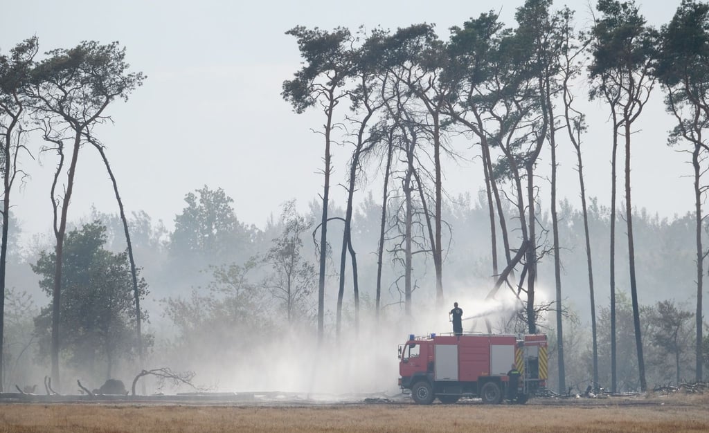 Die Feuerwehr beim Löschen eines Waldbrandes im Landkreis Elbe-Elster.