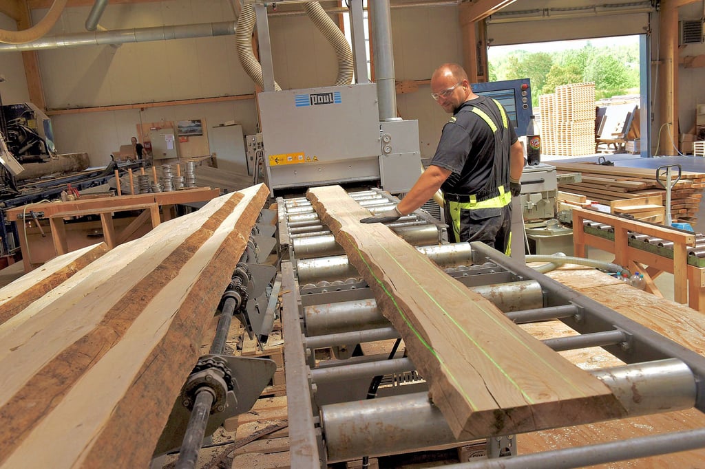 In der neu gebauten Produktionshalle der Firma SHZ Stedtener Holzzentrum arbeitet Michael Löber an einer Holzsäge.